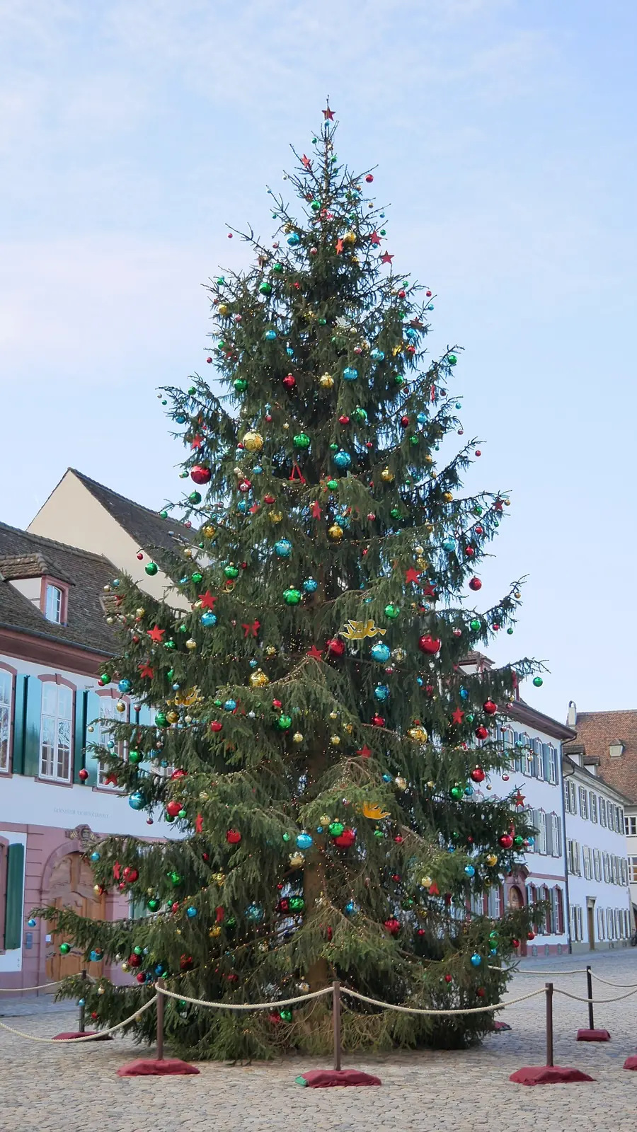 Decorated Christmas tree on Münsterplatz by day