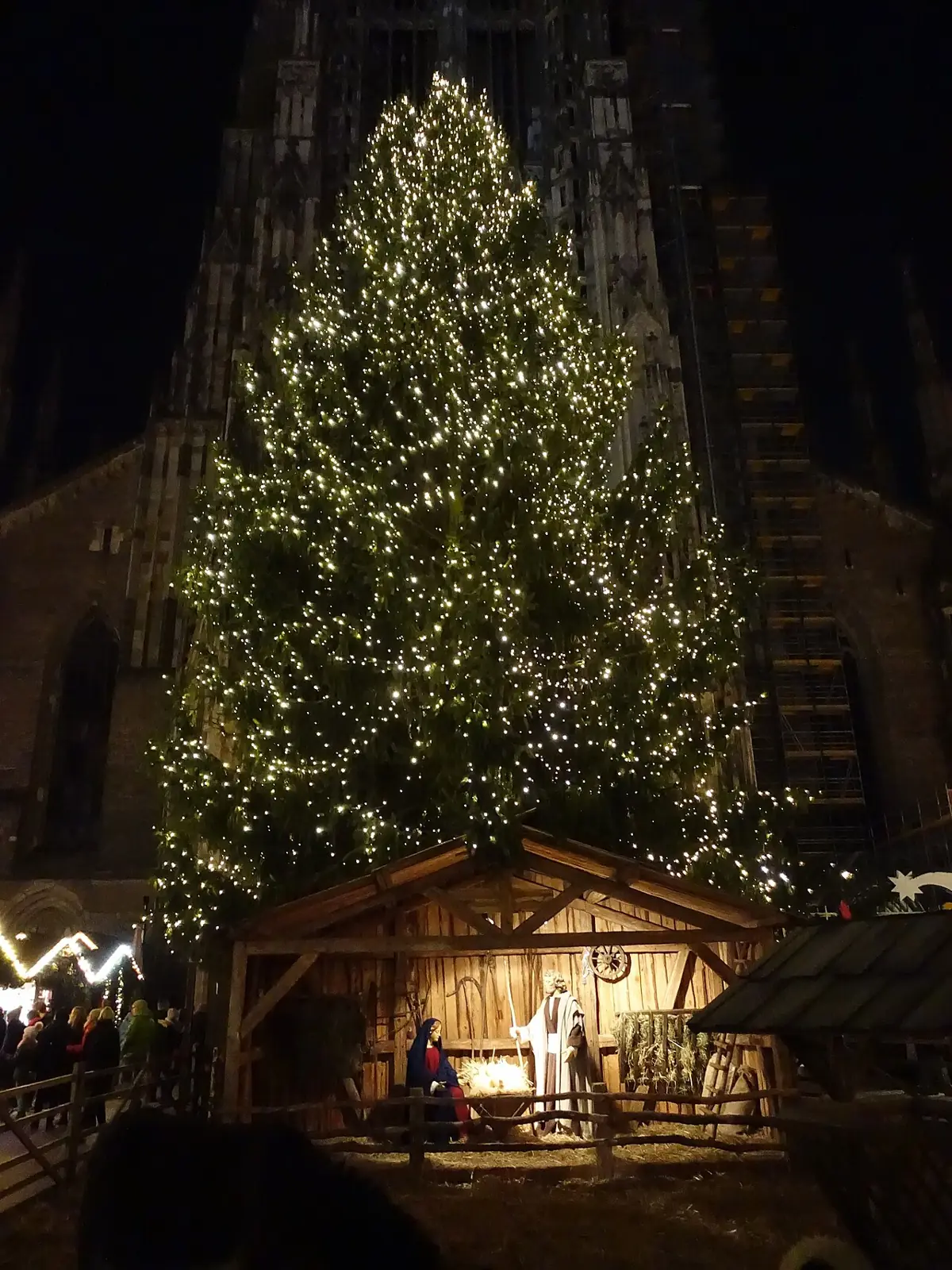 Illuminated Christmas tree and nativity scene in front of the Minster at night